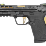 S&W PC SHIELD 380ACP EZ 8RD PRTD GLD 2 SW12719 1