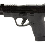 S&W PC M&P SHLD PLS 9MM 4" PRT BK OR 1 SW13990 1