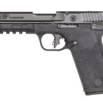 S&W M&P 22WMR 4.35" OR MS 10RD BLK 2 SW14090 1