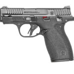 S&W M&P BDYGRD 2.0 380ACP 10RD TS 2 SW14192 1
