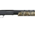 image full 5260 278763cda7712329af095f573a1b7472