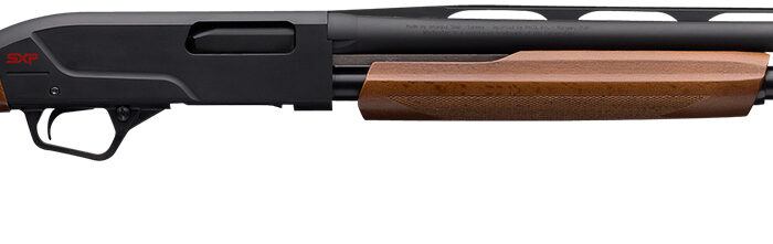 Winchester Repeating Arms 512367690 SXP Field Youth 20 Gauge 24" 5+1 3" Matte Black Rec/Barrel Satin Walnut Stock Right Hand Includes 3 Invector-Plus Chokes