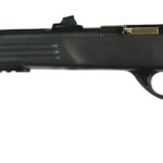 Crickett KSA693 Adult Pistol 22 LR 1rd 10.50" Blued Threaded Barrel w/Cap, Williams Fire Sights, Integrated Picatinny Accessory Rail, Synthetic Grip, Rebounding Firing Pin Safety 2 137731