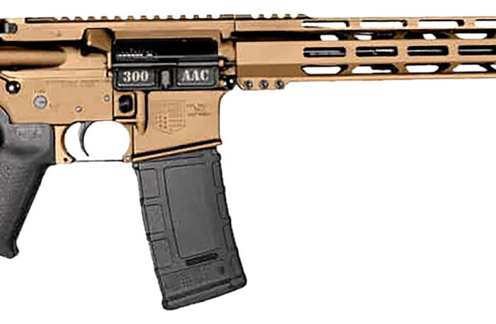 Diamondback DB1718B042 DB15  300 Blackout 30+1 Burnt Bronze Cerakote Picatinny Rail Aluminum Receiver, Black Synthetic Stock
