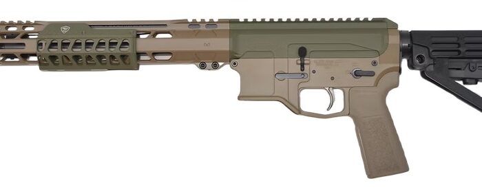 BILSON P2FCSFG20R1 BA15FCP 300BO    20R FDE/SNPGRN