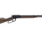 CHIAPPA LA322 TD 22LR 18.5" CB TB 2 CHP920 432 1