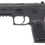 p320cmpt0315