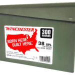 Winchester Ammo WW38C USA Ammo Can 38Special 130gr Full Metal Jacket 300 Per Box/2 Case 2 123908