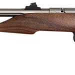 Chipmunk 40101 Hunter Youth Frame 22 S/L/LR Single Shot 9" Threaded Stainless Steel Barrel, Walnut Frame, EZ Loader 2 167615