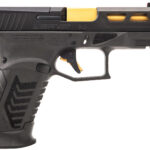 Derya Firearms 10LDY9GUS DY9 9mm 10rd 1 174450