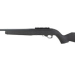 RUGER 10/22 22LR 18.5" 10RD SR BLK 1 RUG32033 1