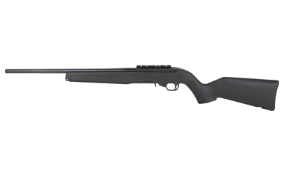 RUGER 10/22 22LR 18.5" 10RD SR BLK