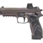 SG226X5 9 LEGION RXX 1