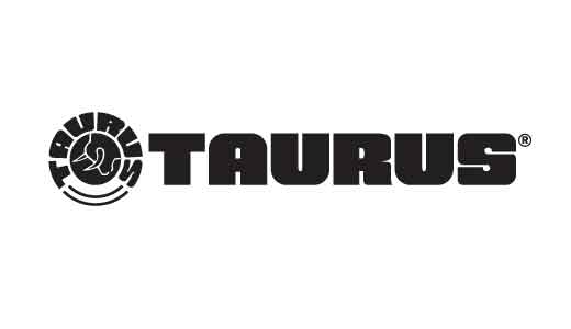 TAURUS GX4 9MM GRAY/TUNGSTEN 11+1   #