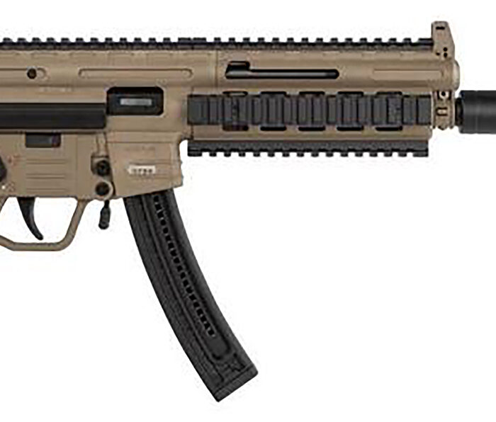 GSG GERGGSG1610T GSG-16 Carbine Full Size 22 LR 10+1 16.25" Black Flat Dark Earth Polymer Receiver Black Collapsible w/Storage Compartment Stock Right Hand