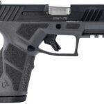Taurus 1-GX2931G-10 GX2 9mm Luger 10+1 3.37" Matte Stainless Steel Barrel, Matte Black Serrated Stainless Steel Slide, Gray Polymer Frame w/Picatinny Rail, Polymer Grip 1 170119