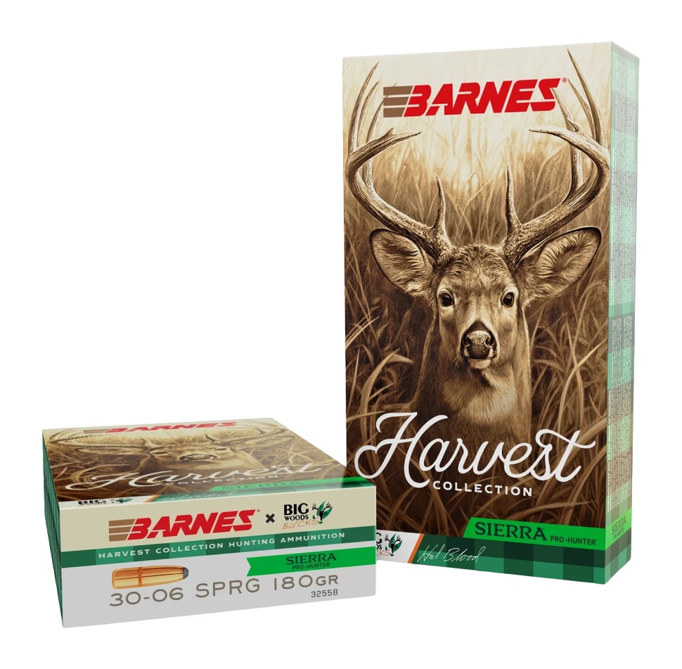 BRNS 32558 SIERRA PRO-HUNTER RN 3006 180GR 20/10 3 BRNS 32558 SIERRA PRO-HUNTER RN 3006 180GR 20/10