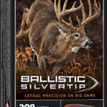 Winchester Ammo SBST308A Ballistic Silvertip 308Win 168gr Rapid Controlled Expansion Polymer Tip 20 Per Box/10 Case 2 67671