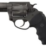 CHARTER ARMS CHARTER PITBULL 9MM NIT 2" FS 2 CH69920