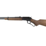 CHIAPPA LA322 TD 22MAG 18.5" 1 CHP920 433 1