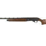 CZ06172 1