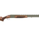 CZ06410 1