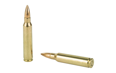 PMC BRNZ 223REM 55GR FMJ 20/1000 6 PMC BRNZ 223REM 55GR FMJ 20/1000 - Image 4