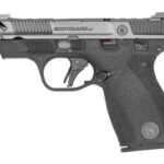 S&W BODYGRD 2 CC 380ACP 3.1" TS CA 2 SW14419 1