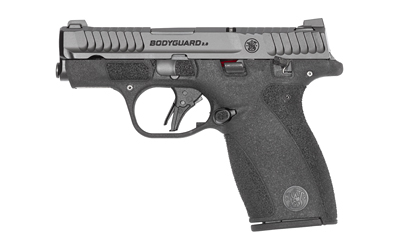 Cart 2 S&W BODYGUARD 2.0 380ACP 3.1" TS CA