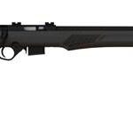 Rossi RB Rifle Series .17 HMR 5 rd 21" Barrel Magazine Black Stock 2 https3A2F2Fmedia.chattanoogashooting.com2Fimages2Fproduct2FTERB17H21112FTERB17H2111 1