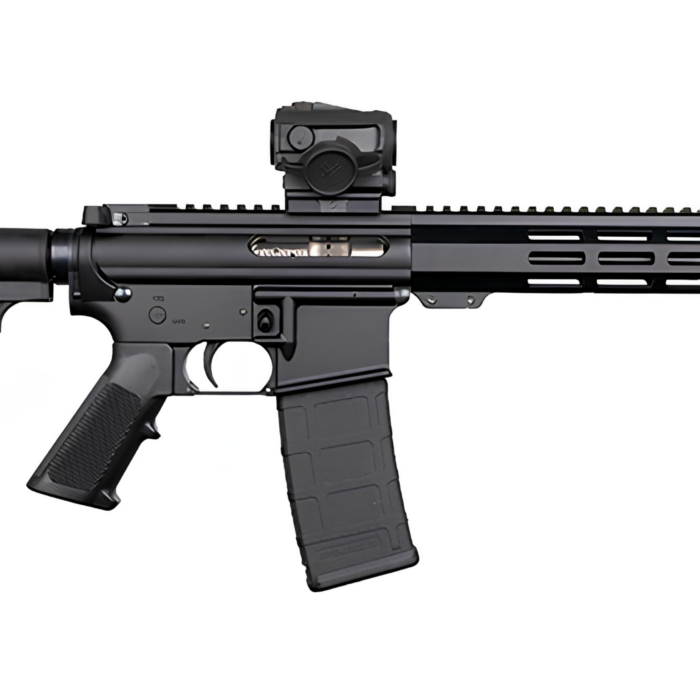 Cart 1 DPMS SHORTACLE 300BLK PISTOL 10.5" BBL, 9.5" MLOK RAIL, CAR15 BRACE 1-30RD MAG W/ VORTX SPARC