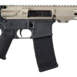 Shark Coast Tactical SCC07169FCAT-P Fisher Cat 5.56 NATO 30+1 Black Nitride Threaded Barrel, Aluminum Receiver w/Picatinny Rail, M-LOK Handguard, Polymer SB Tactical SBA3 Brace, Magpul MOE Grip, Right 1 193724
