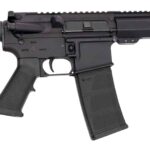 Andro Corp Industries 30010HB ACI-15 Halo 300 Blackout 30+1 10" Black Nitride Threaded Barrel, Black Anodized Aluminum Receiver w/Picatinny Rail, M-LOK Handguard, Black Polymer SBA3 Pistol Brace, A2 G 2 199060