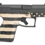 Taurus 1-GX4M931-EN4 GX4 Micro-Compact Frame 9mm Luger 11+1 3.06" Alloy Steel Serrated Slide Stainless Steel Frame 2 199768