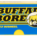Buffalo Bore Ammunition 20E20 Standard Pressure Strictly Business 38Special 125gr Jacket Hollow Point 20 Per Box/12 Case 2 82107