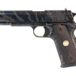 CHIAPPA 1911 FIELD 45ACP 5" 8RD CASE 2 CHP440 191 1