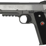 COLT DELTA ELITE RAIL 10MM 5" STS NV 2 CT2020RG 1