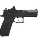 CZ91670