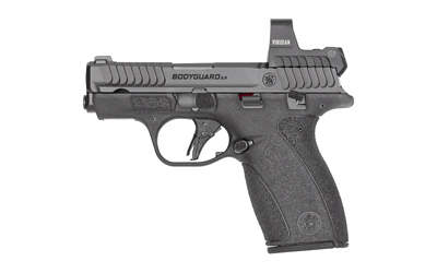 S&W BDYGRD 2.0 RFX1 380ACP 12RD TS 3 S&W BDYGRD 2.0 RFX1 380ACP 12RD TS