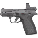 S&W BDYGRD 2.0 RFX1 380ACP 10RD TS 2 SW14787 1