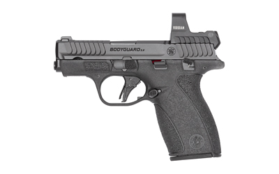 Cart 3 S&W BDYGRD 2.0 RFX1 380ACP 10RD TS