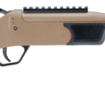ROSSI BRAWLER 300BLK 9" BL/FDE # 1 btssp9300fde57c8