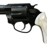 CHARTER ARMS UNDERCOVER LITE 38S BLK/PRL 2" 1 ch13822
