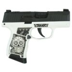 https3A2F2Fmedia.chattanoogashooting.com2Fimages2Fproduct2FXI681228SSWB2Fp365 9mm 3 1 blk strkr xray3 optic ready 2mag sugar skull xi681228sswb right