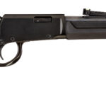 ROSSI RIO BRAVO 22WMR BK/SY 20" # 2 rl22181sy3784
