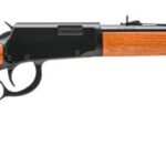 ROSSI RIO BRAVO 22WMR BL/WD 20" # 2 rl22181wd6c3f