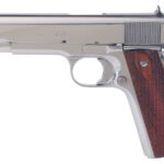 Colt Mfg O1070BSTS 1911 Government 45 ACP 7+1 5" Stainless National Match Barrel, Serrated Slide & Frame w/Beavertail, Redwood Grip 1 102033
