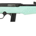 Rossi RS22L1811TL RS22 Full Size 22 LR 10+1 18" Matte Black Steel Barrel, Matte Black Grooved Aluminum Receiver, Teal Synthetic Fixed Stock 1 149115