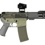 Shark Coast Tactical SCC06872BUGBR300P Bug Bear Bundle 300 Blackout 30+1 10" Threaded Barrel, Aluminum Receiver w/Picatinny Rail, M-LOK Handguard, Polymer SB Tactical SBA3 Brace, Streamlight ProTac Ra 2 193748