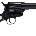 CHIAPPA FIREARMS CHIAPPA 1873-22 22LR/22M BLACK 2 CICF340.250D